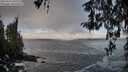 ./images/koeye/fitz-hugh/20260313/fitz-hugh20260313_101501M.jpg