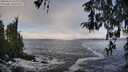 ./images/koeye/fitz-hugh/20260313/fitz-hugh20260313_102001M.jpg