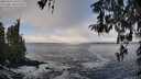 ./images/koeye/fitz-hugh/20260313/fitz-hugh20260313_102501M.jpg