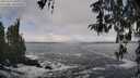 ./images/koeye/fitz-hugh/20260313/fitz-hugh20260313_104001M.jpg