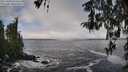./images/koeye/fitz-hugh/20260313/fitz-hugh20260313_104501M.jpg