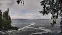 ./images/koeye/fitz-hugh/20260313/fitz-hugh20260313_110501M.jpg