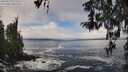 ./images/koeye/fitz-hugh/20260313/fitz-hugh20260313_112501M.jpg