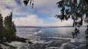 ./images/koeye/fitz-hugh/20260313/fitz-hugh20260313_113001M.jpg
