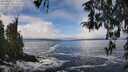 ./images/koeye/fitz-hugh/20260313/fitz-hugh20260313_113501M.jpg