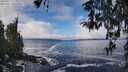 ./images/koeye/fitz-hugh/20260313/fitz-hugh20260313_114001M.jpg