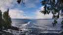 ./images/koeye/fitz-hugh/20260313/fitz-hugh20260313_114501M.jpg
