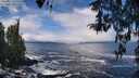 ./images/koeye/fitz-hugh/20260313/fitz-hugh20260313_120501M.jpg