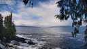 ./images/koeye/fitz-hugh/20260313/fitz-hugh20260313_121001M.jpg
