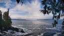 ./images/koeye/fitz-hugh/20260313/fitz-hugh20260313_121501M.jpg