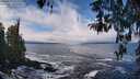 ./images/koeye/fitz-hugh/20260313/fitz-hugh20260313_122001M.jpg