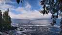 ./images/koeye/fitz-hugh/20260313/fitz-hugh20260313_122501M.jpg