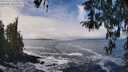 ./images/koeye/fitz-hugh/20260313/fitz-hugh20260313_123501M.jpg