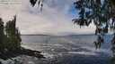 ./images/koeye/fitz-hugh/20260313/fitz-hugh20260313_124001M.jpg