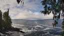 ./images/koeye/fitz-hugh/20260313/fitz-hugh20260313_124501M.jpg