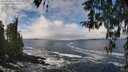 ./images/koeye/fitz-hugh/20260313/fitz-hugh20260313_125001M.jpg