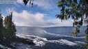./images/koeye/fitz-hugh/20260313/fitz-hugh20260313_130502M.jpg