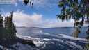 ./images/koeye/fitz-hugh/20260313/fitz-hugh20260313_131002M.jpg