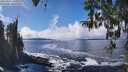 ./images/koeye/fitz-hugh/20260313/fitz-hugh20260313_134502M.jpg