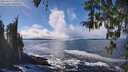 ./images/koeye/fitz-hugh/20260313/fitz-hugh20260313_140001M.jpg