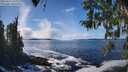 ./images/koeye/fitz-hugh/20260313/fitz-hugh20260313_142001M.jpg