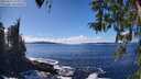 ./images/koeye/fitz-hugh/20260313/fitz-hugh20260313_144001M.jpg