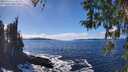 ./images/koeye/fitz-hugh/20260313/fitz-hugh20260313_144501M.jpg