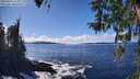 ./images/koeye/fitz-hugh/20260313/fitz-hugh20260313_145001M.jpg