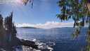 ./images/koeye/fitz-hugh/20260313/fitz-hugh20260313_145501M.jpg