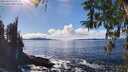 ./images/koeye/fitz-hugh/20260313/fitz-hugh20260313_150501M.jpg