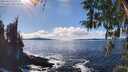./images/koeye/fitz-hugh/20260313/fitz-hugh20260313_151001M.jpg