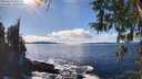 ./images/koeye/fitz-hugh/20260313/fitz-hugh20260313_151501M.jpg