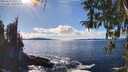 ./images/koeye/fitz-hugh/20260313/fitz-hugh20260313_152001M.jpg