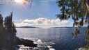 ./images/koeye/fitz-hugh/20260313/fitz-hugh20260313_152501M.jpg