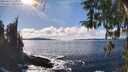 ./images/koeye/fitz-hugh/20260313/fitz-hugh20260313_153002M.jpg