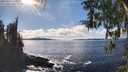 ./images/koeye/fitz-hugh/20260313/fitz-hugh20260313_153501M.jpg