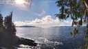 ./images/koeye/fitz-hugh/20260313/fitz-hugh20260313_154001M.jpg