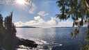 ./images/koeye/fitz-hugh/20260313/fitz-hugh20260313_154502M.jpg