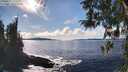 ./images/koeye/fitz-hugh/20260313/fitz-hugh20260313_155501M.jpg