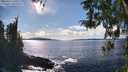 ./images/koeye/fitz-hugh/20260313/fitz-hugh20260313_160501M.jpg
