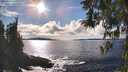 ./images/koeye/fitz-hugh/20260313/fitz-hugh20260313_162501M.jpg