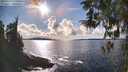 ./images/koeye/fitz-hugh/20260313/fitz-hugh20260313_163502M.jpg