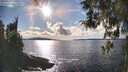 ./images/koeye/fitz-hugh/20260313/fitz-hugh20260313_164501M.jpg