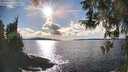 ./images/koeye/fitz-hugh/20260313/fitz-hugh20260313_165001M.jpg