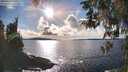 ./images/koeye/fitz-hugh/20260313/fitz-hugh20260313_165501M.jpg