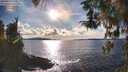 ./images/koeye/fitz-hugh/20260313/fitz-hugh20260313_171001M.jpg