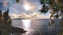 ./images/koeye/fitz-hugh/20260313/fitz-hugh20260313_171501M.jpg