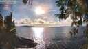 ./images/koeye/fitz-hugh/20260313/fitz-hugh20260313_172002M.jpg
