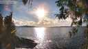 ./images/koeye/fitz-hugh/20260313/fitz-hugh20260313_173001M.jpg