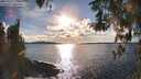 ./images/koeye/fitz-hugh/20260313/fitz-hugh20260313_173501M.jpg